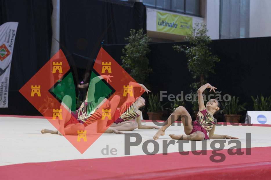 2313_Campeonato Nacional 2ª Div - ACRO